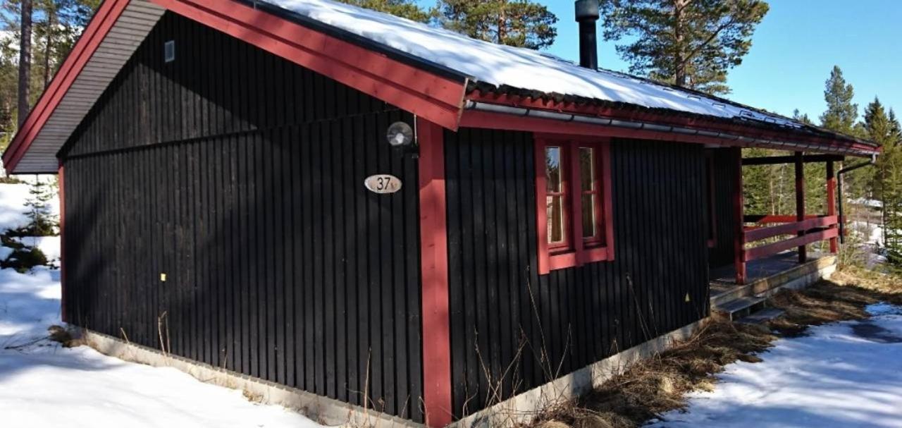 Sauna | Wi-Fi | Terrace | Wood Stove | Cable Tv Lofsdalen Exterior photo